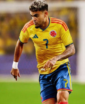 CAMISETA SELECCION COLOMBIA MUNDIAL 2026 HOMBRE MUJER Y NIÑOS