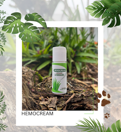 HEMOCREAM  Solución natural para el alivio del ardor, picazón e incomodidad de Hemorroides