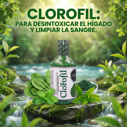 CLOROFILA Elixir Verde - Desintoxicante Y Oxigenante Clorofil
