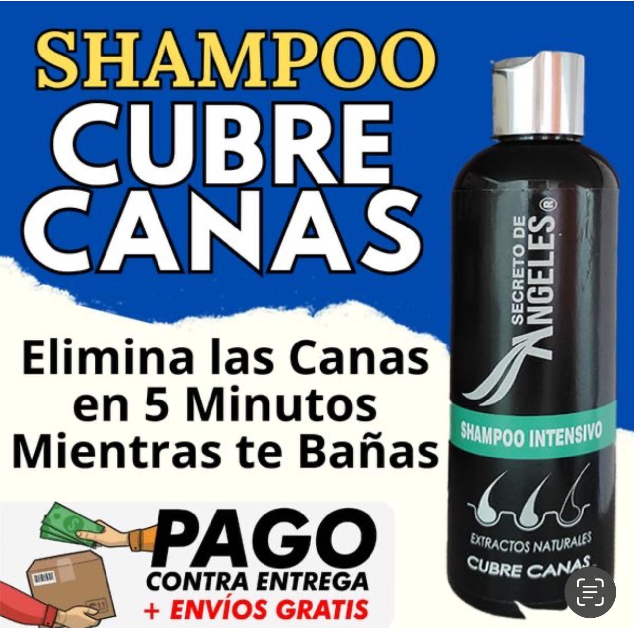 SECRETO DE ANGELES**SHAMPOO CUBRE CANAS